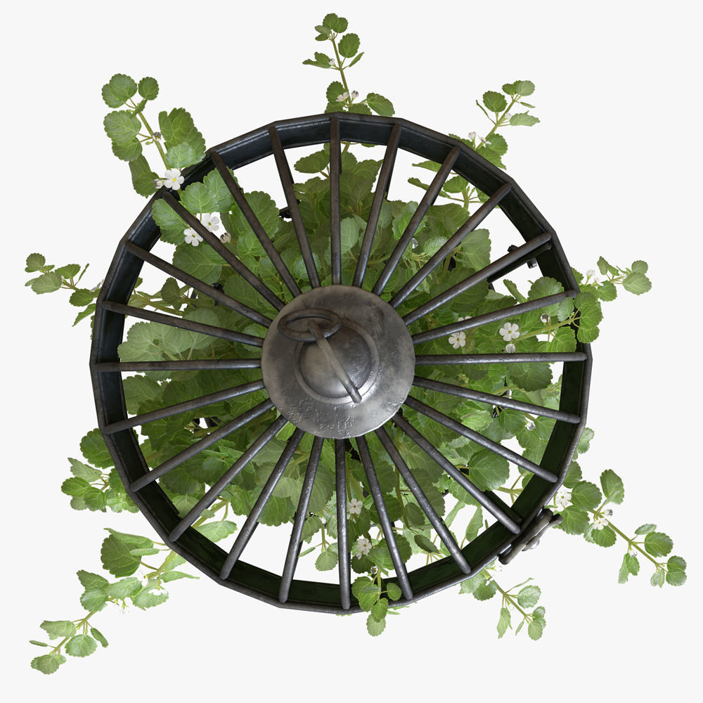 Ivy in a bird cage 3D model_2