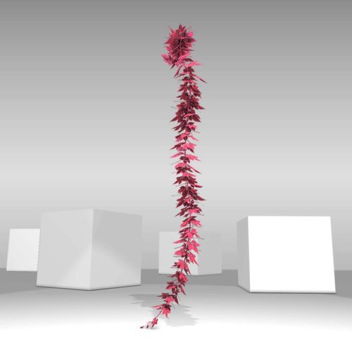 Wild Wine Vine - Parthenocissus - Autumn - Version 10 Low-poly 3D model