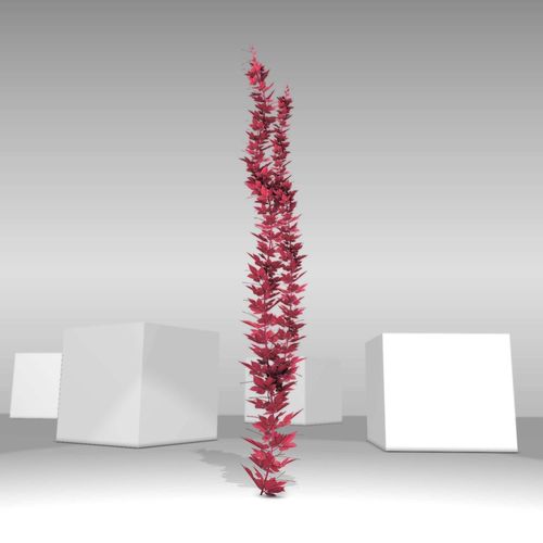 Wild Wine Vine - Parthenocissus - Autumn - Version 2 Low-poly 3D model