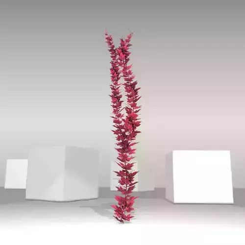 Wild Wine Vine - Parthenocissus - Autumn - Version 3 Low-poly 3D model