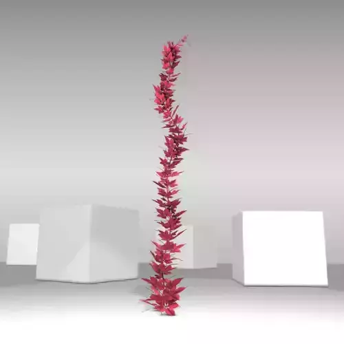 Wild Wine Vine - Parthenocissus - Autumn - Version 4