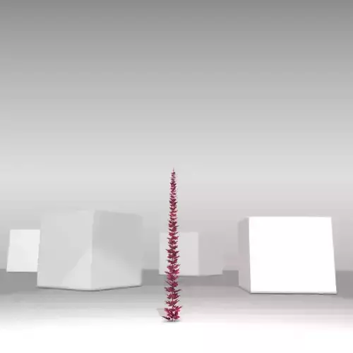 Wild Wine Vine - Parthenocissus - Autumn - Version 5 Low-poly 3D model