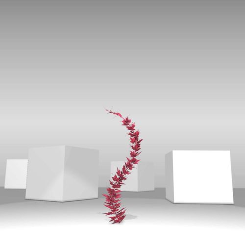 Wild Wine Vine - Parthenocissus - Autumn - Version 7 Low-poly 3D model