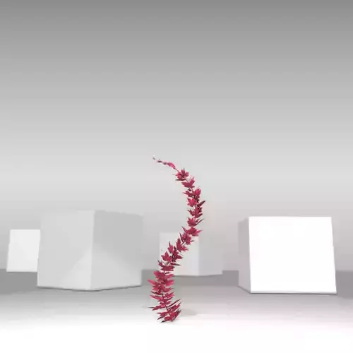 Wild Wine Vine - Parthenocissus - Autumn - Version 7 Low-poly 3D model