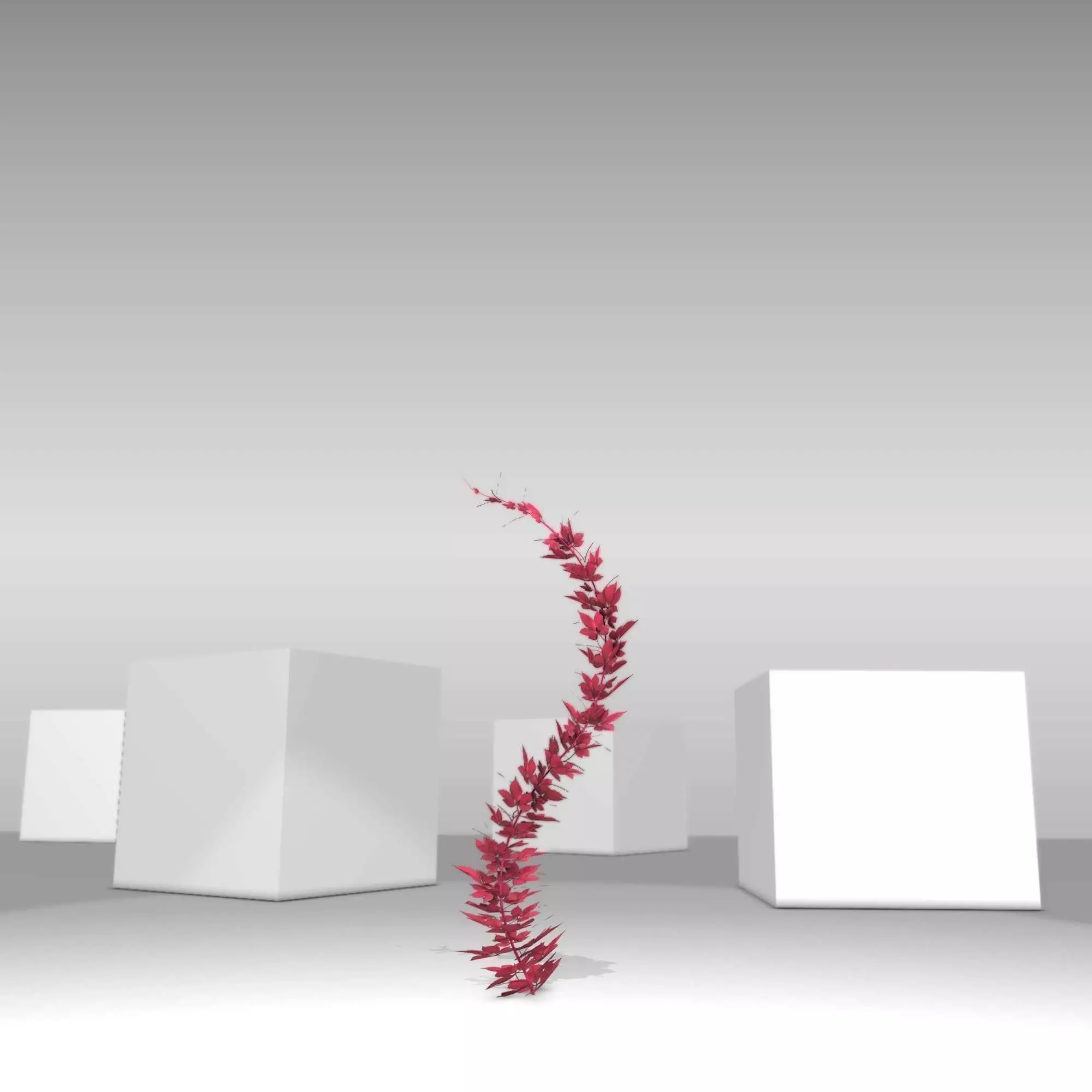 Wild Wine Vine - Parthenocissus - Autumn - Version 7 Low-poly 3D model_0