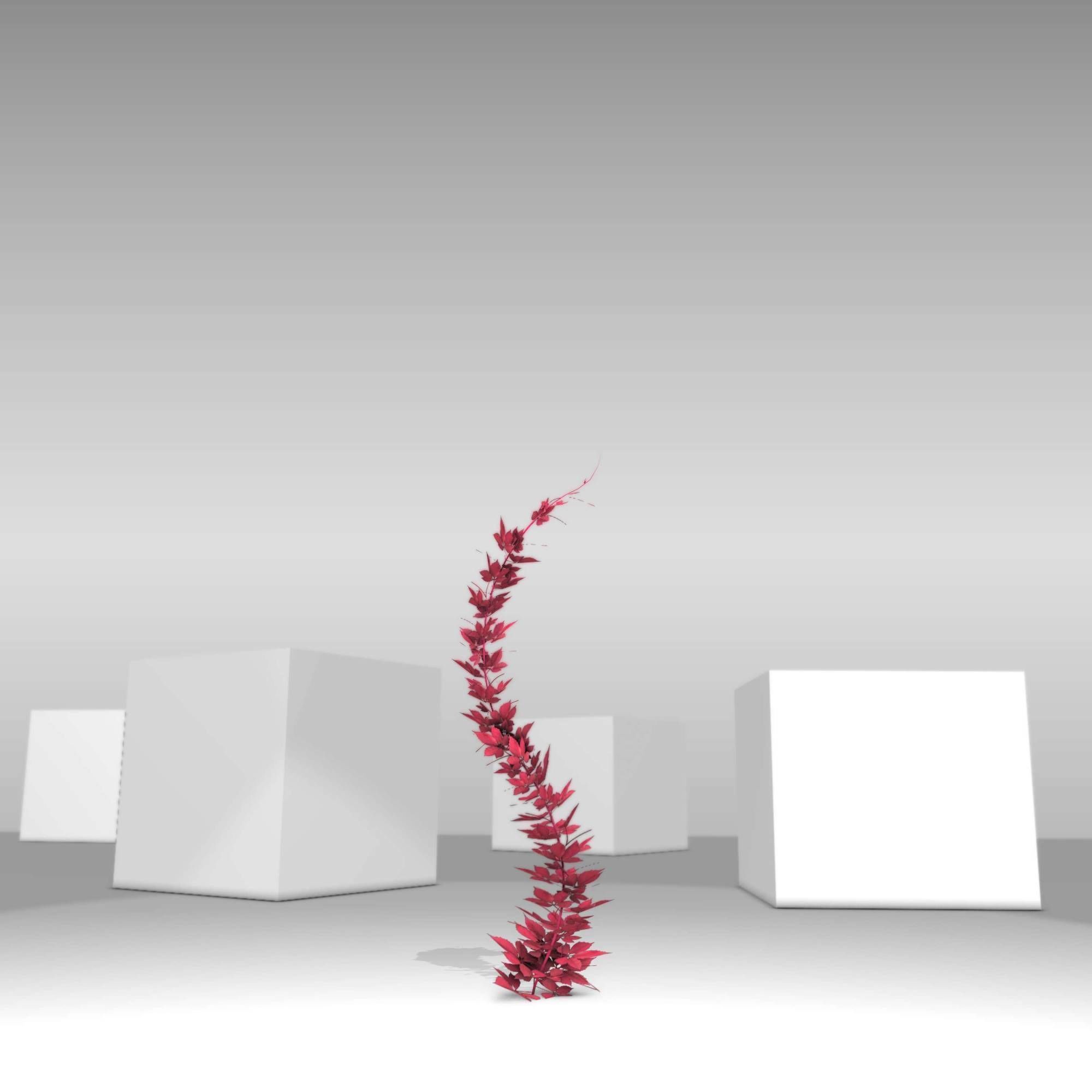 Wild Wine Vine - Parthenocissus - Autumn - Version 7 Low-poly 3D model_16