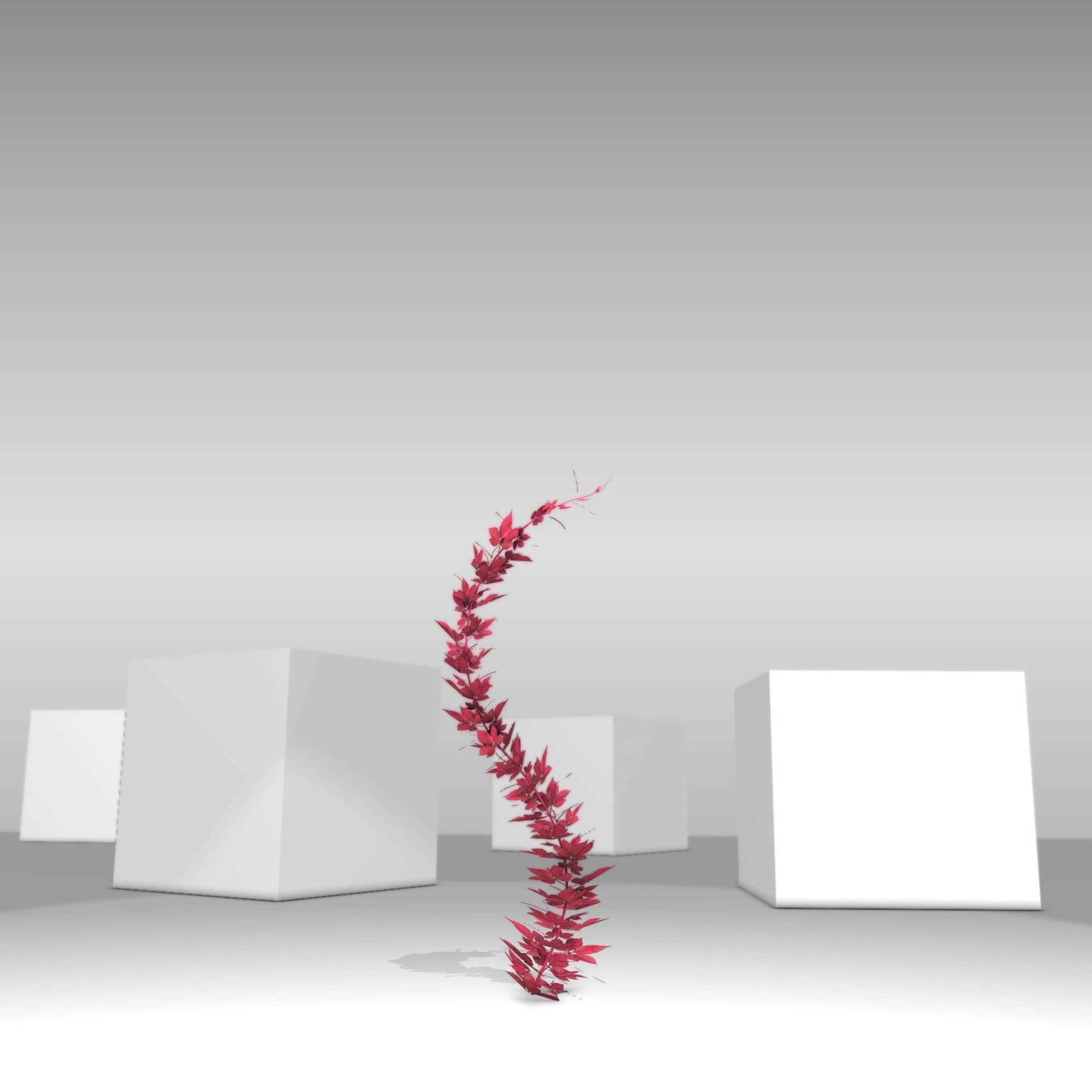 Wild Wine Vine - Parthenocissus - Autumn - Version 7 Low-poly 3D model_17