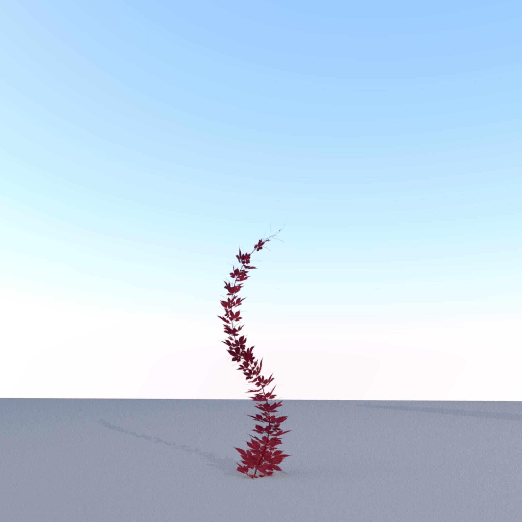 Wild Wine Vine - Parthenocissus - Autumn - Version 7 Low-poly 3D model_15