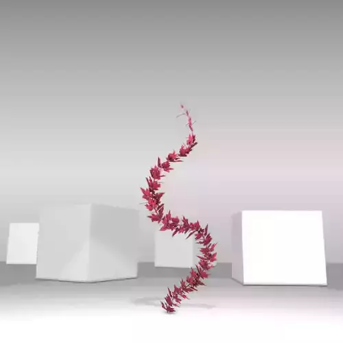 Wild Wine Vine - Parthenocissus - Autumn - Version 9