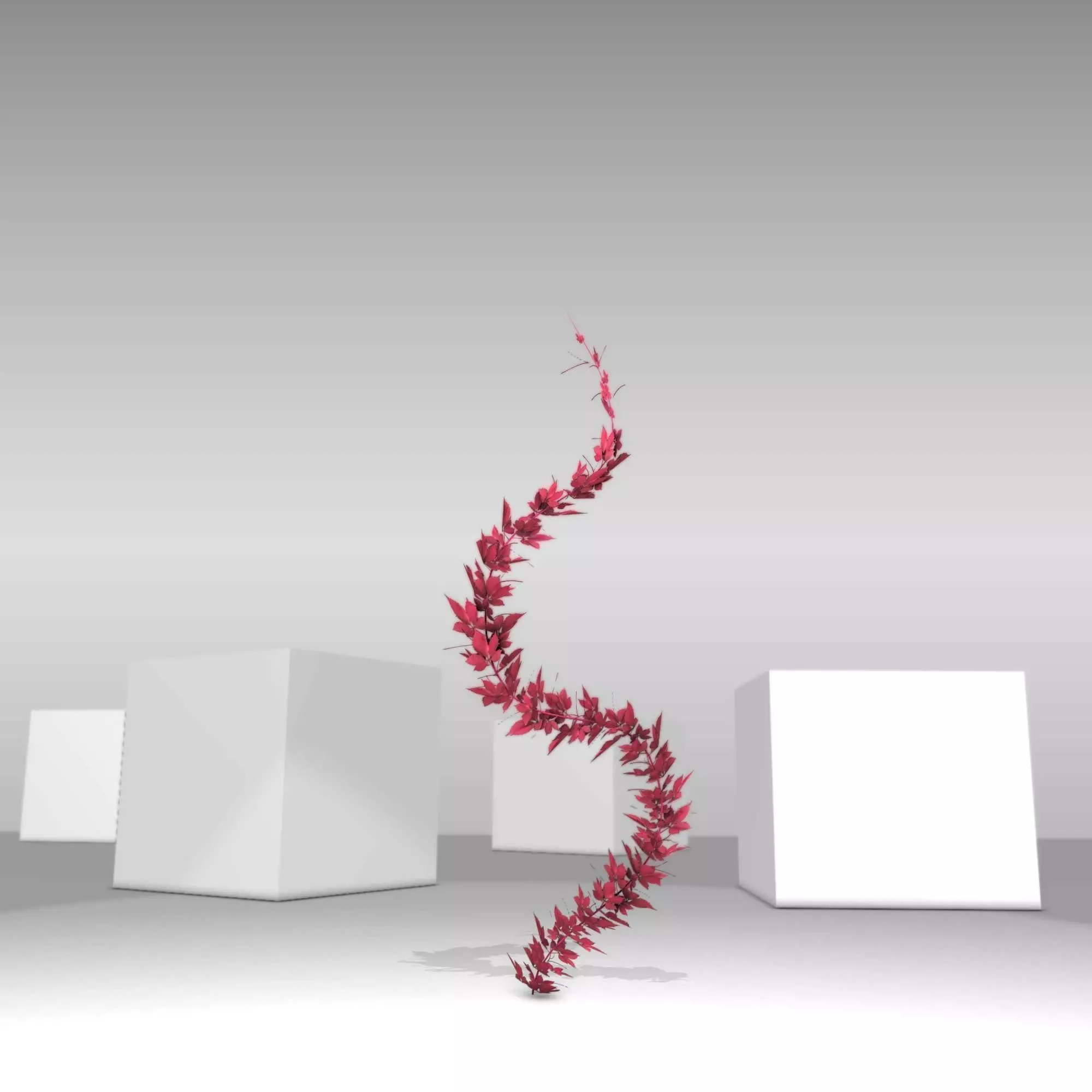 Wild Wine Vine - Parthenocissus - Autumn - Version 9 Low-poly 3D model