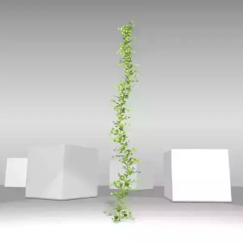 Ivy Vine - Version 1 Low-poly 3D model