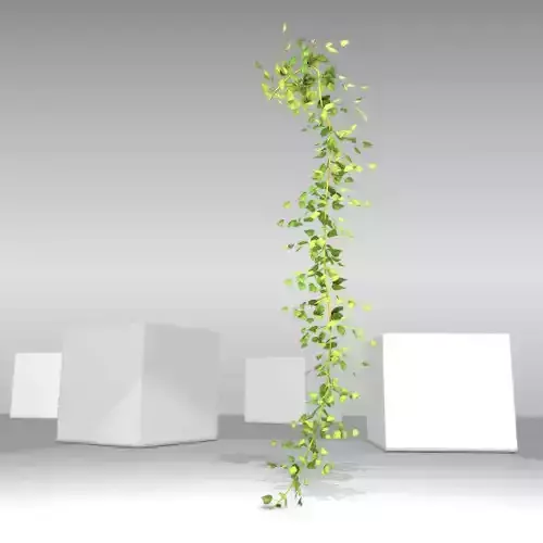 Ivy Vine - Version 10 Low-poly 3D model
