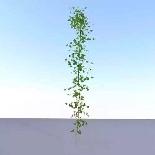 Ivy Vine - Version 12 Low-poly 3D model