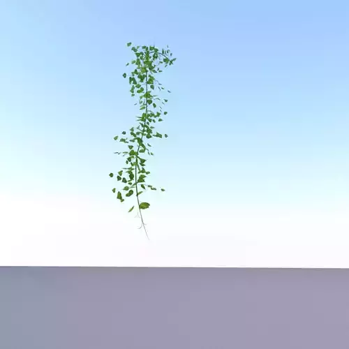 Ivy Vine - Version 13 Low-poly 3D model