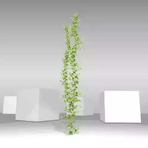 Ivy Vine - Version 2 Low-poly 3D model