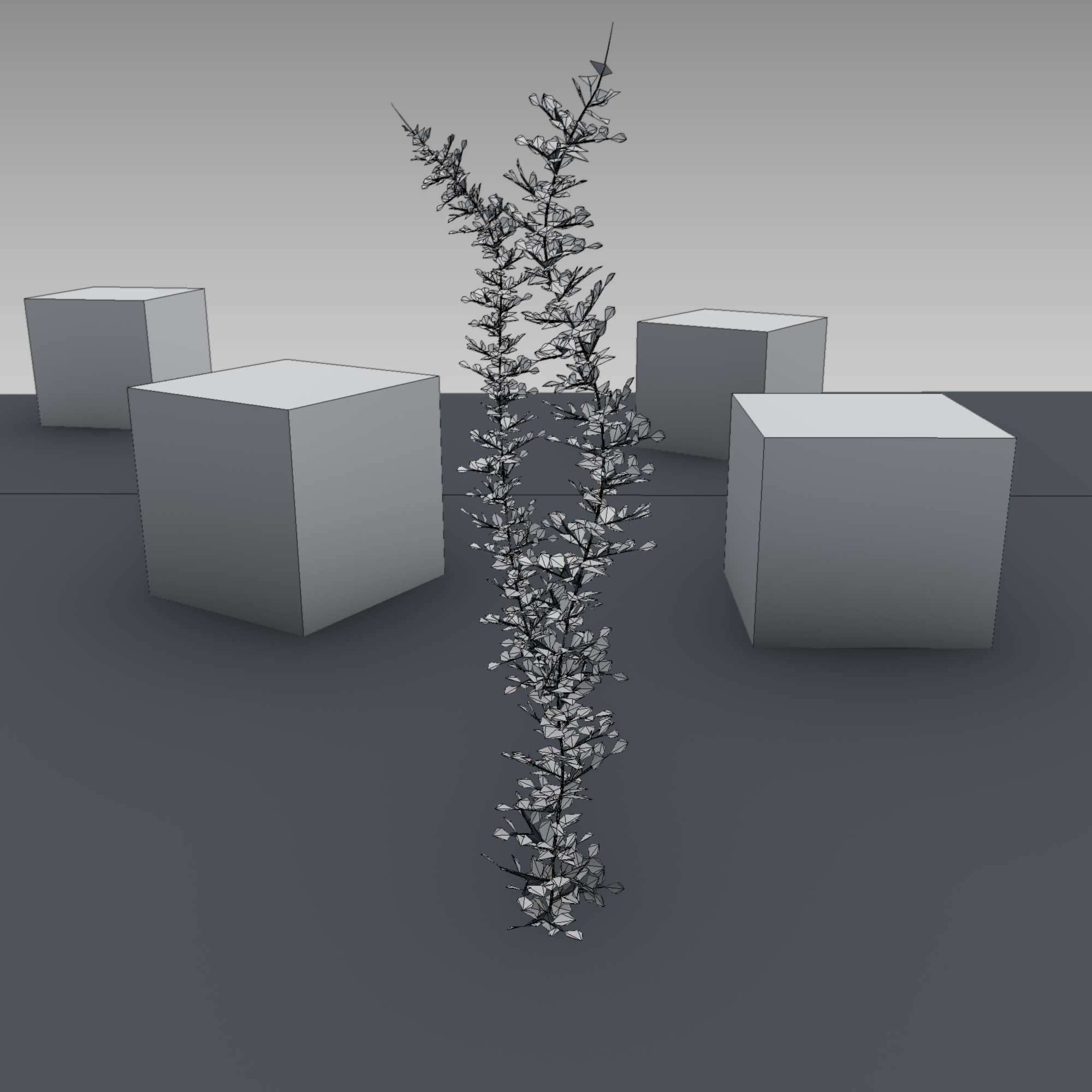 Ivy Vine - Version 2 Low-poly 3D model_31