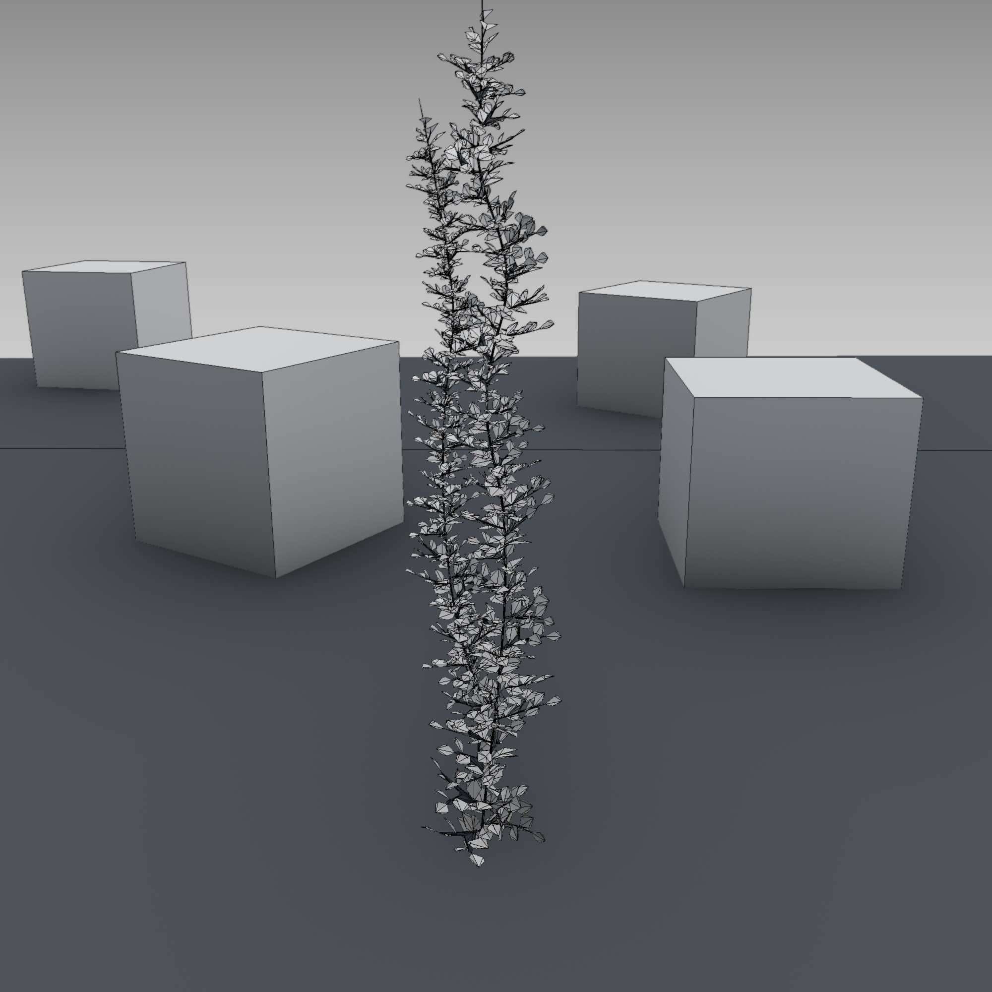 Ivy Vine - Version 2 Low-poly 3D model_6