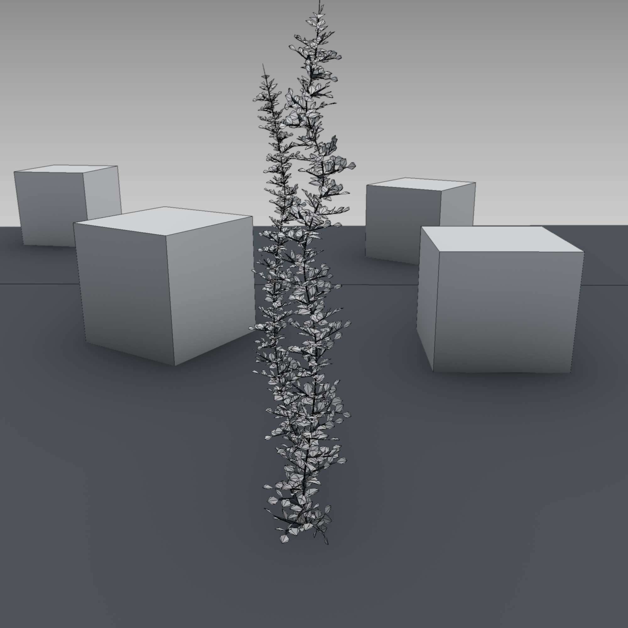 Ivy Vine - Version 2 Low-poly 3D model_3