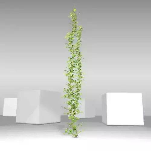 Ivy Vine - Version 3 Low-poly 3D model