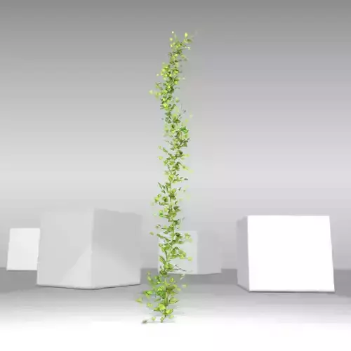 Ivy Vine - Version 4
