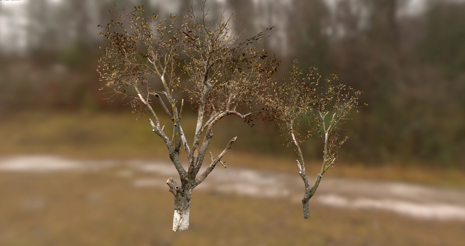 10 Autumn Photo-Scanned Full Size Trees Low-poly 3D model_25