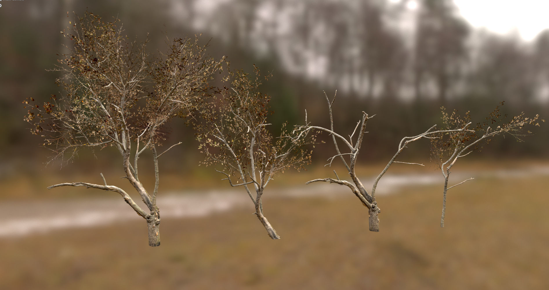 10 Autumn Photo-Scanned Full Size Trees Low-poly 3D model_22