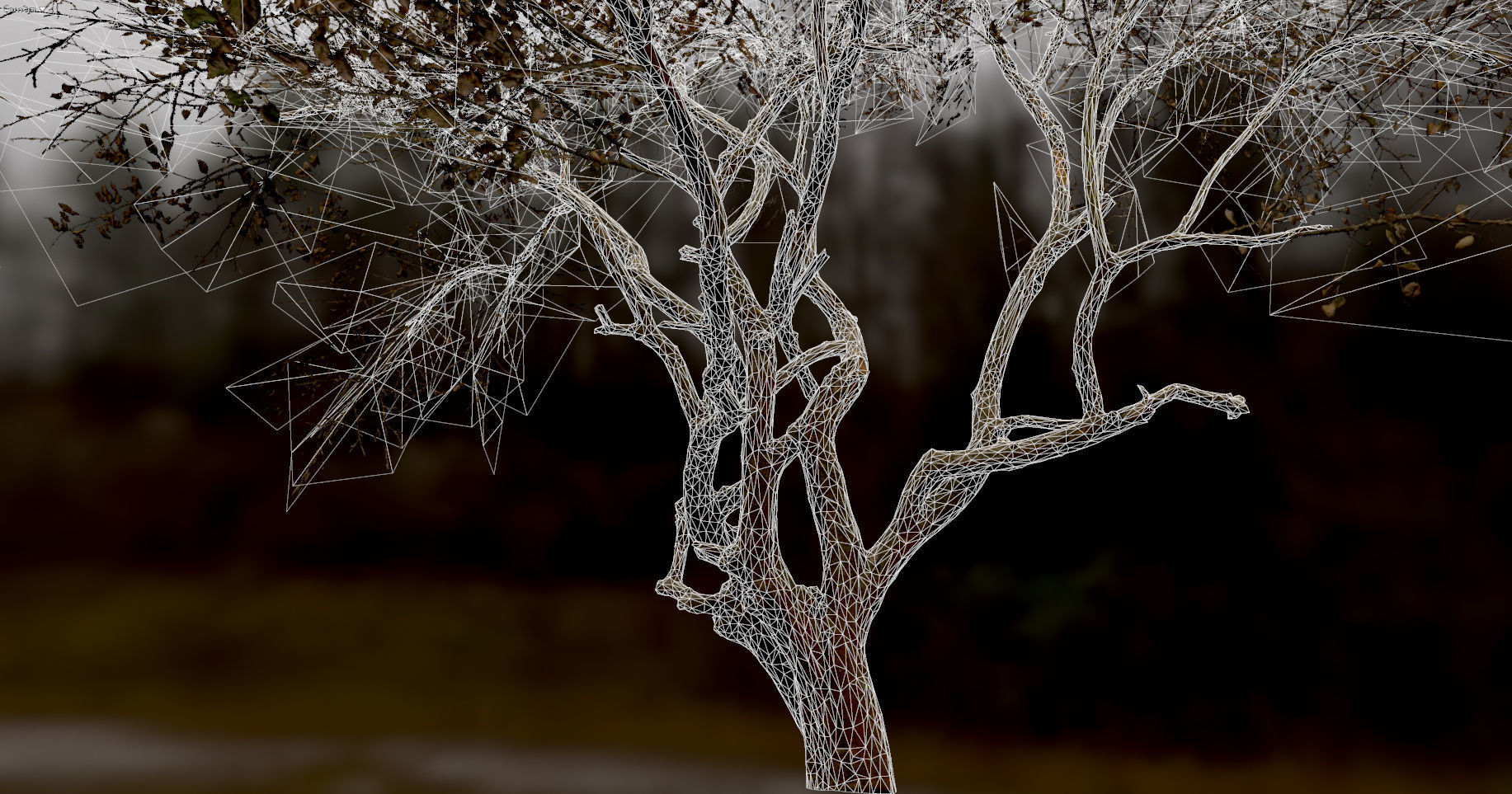 10 Autumn Photo-Scanned Full Size Trees Low-poly 3D model_32