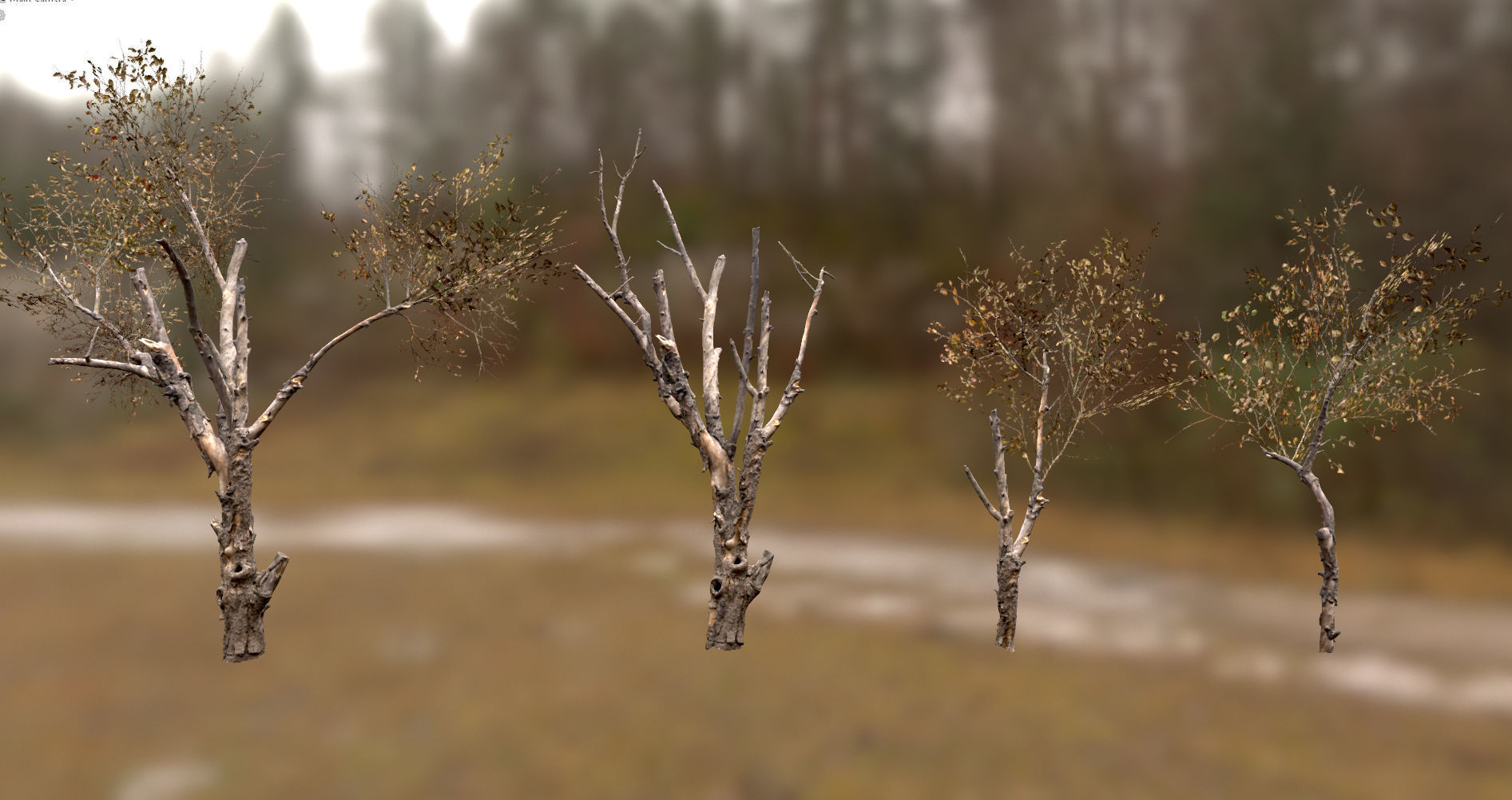 10 Autumn Photo-Scanned Full Size Trees Low-poly 3D model_26