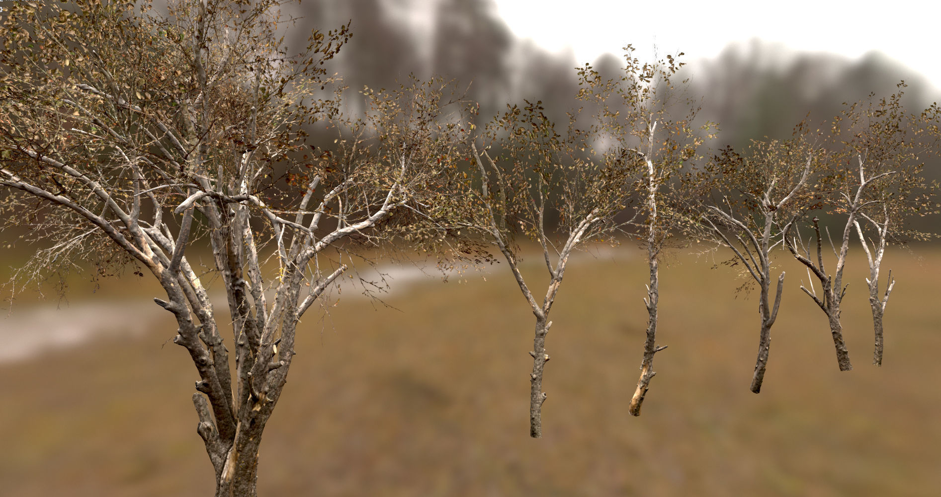 10 Autumn Photo-Scanned Full Size Trees Low-poly 3D model_30