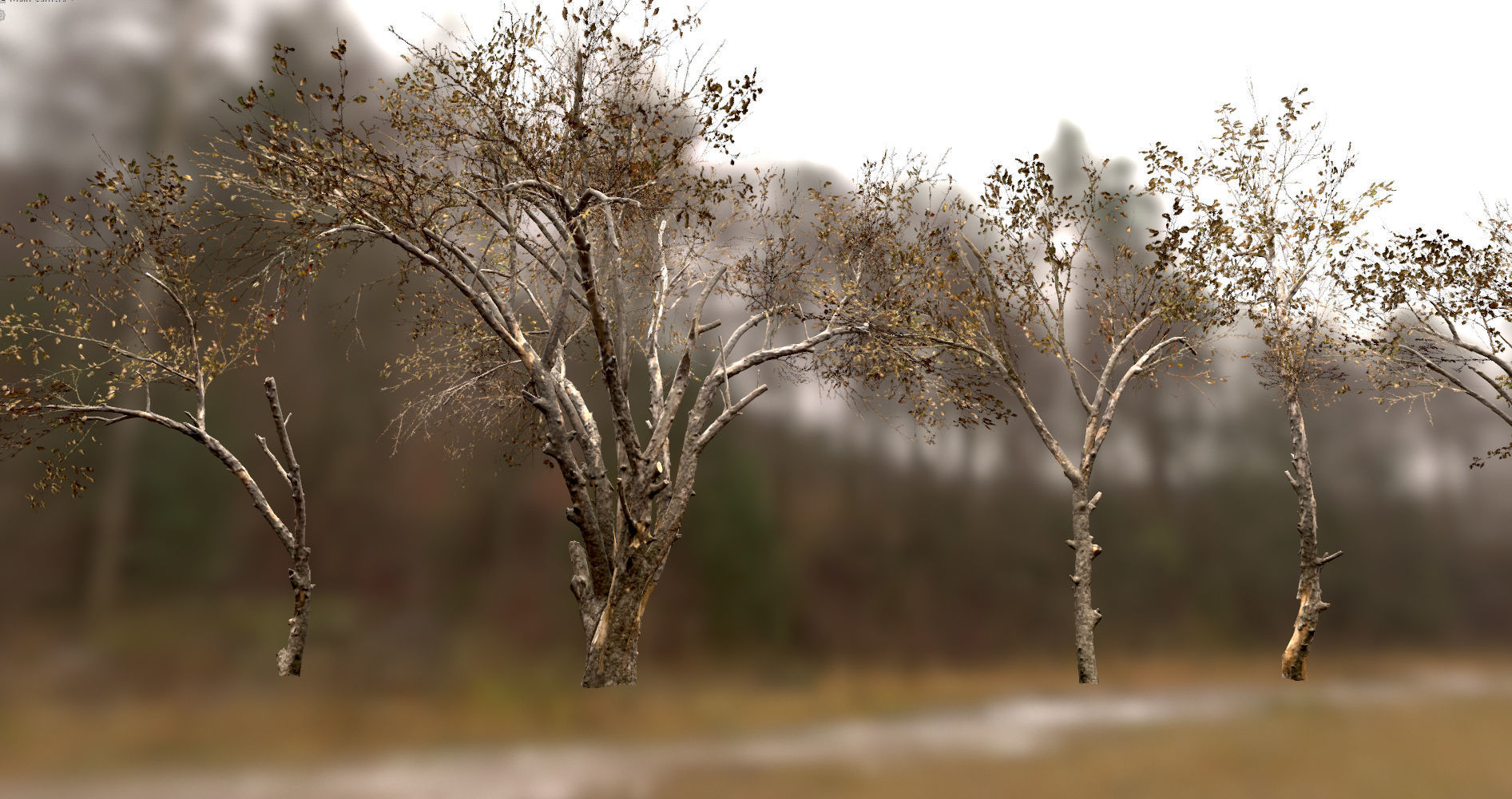 10 Autumn Photo-Scanned Full Size Trees Low-poly 3D model_29