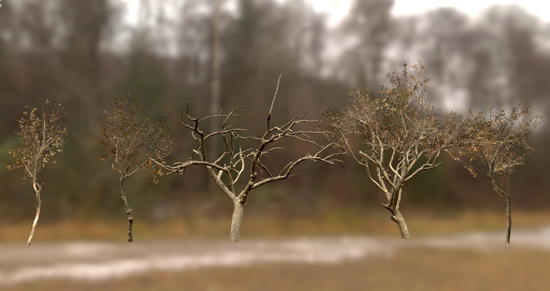 10 Autumn Photo-Scanned Full Size Trees Low-poly 3D model_18