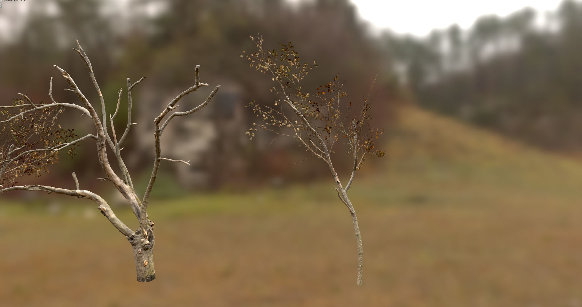 10 Autumn Photo-Scanned Full Size Trees Low-poly 3D model_23