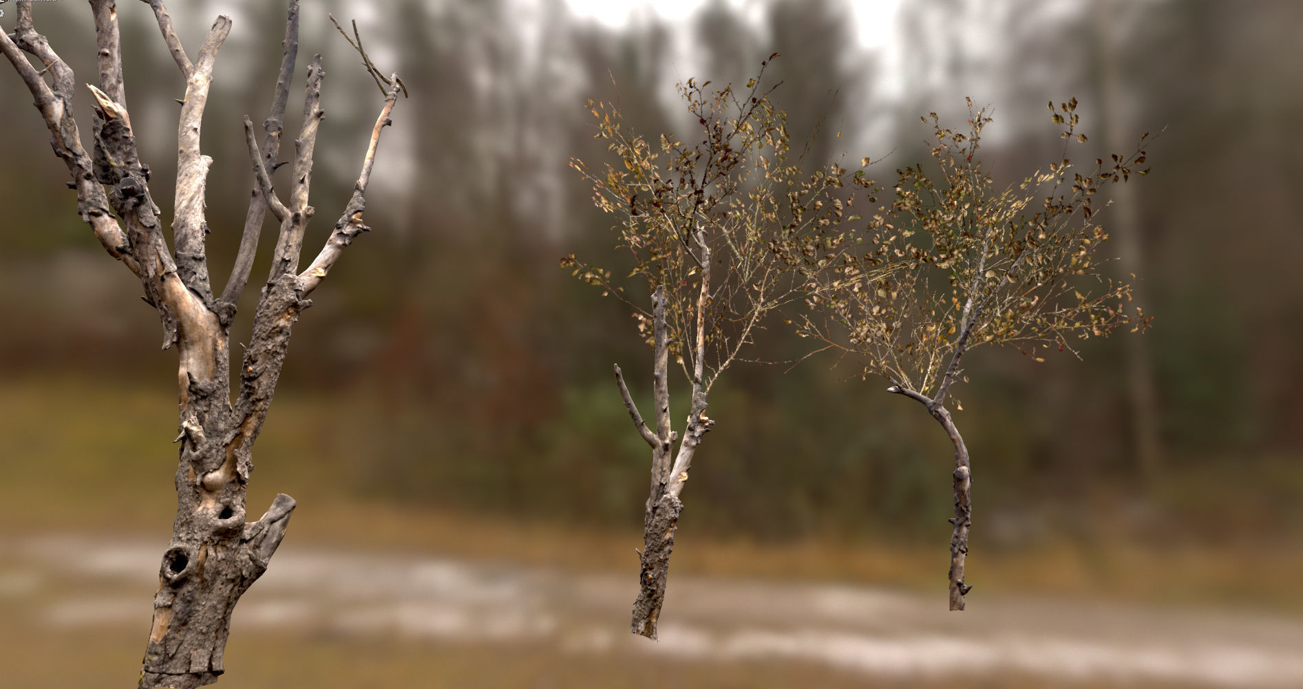 10 Autumn Photo-Scanned Full Size Trees Low-poly 3D model_27