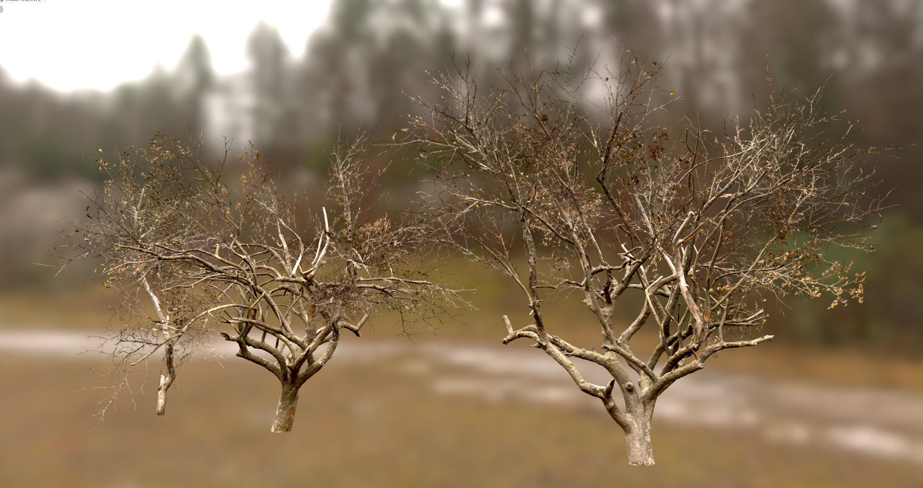 10 Autumn Photo-Scanned Full Size Trees Low-poly 3D model_17