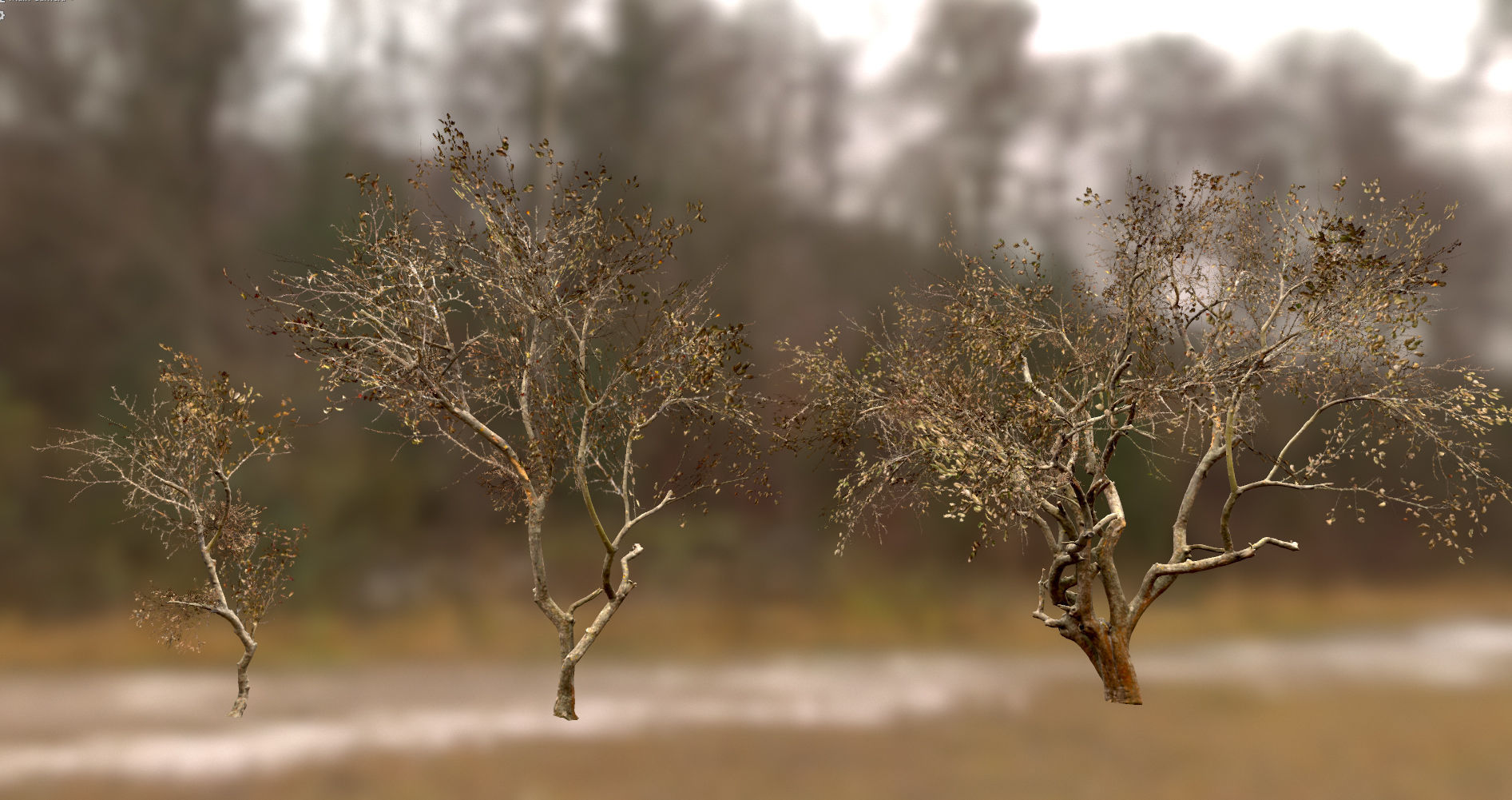 10 Autumn Photo-Scanned Full Size Trees Low-poly 3D model_11