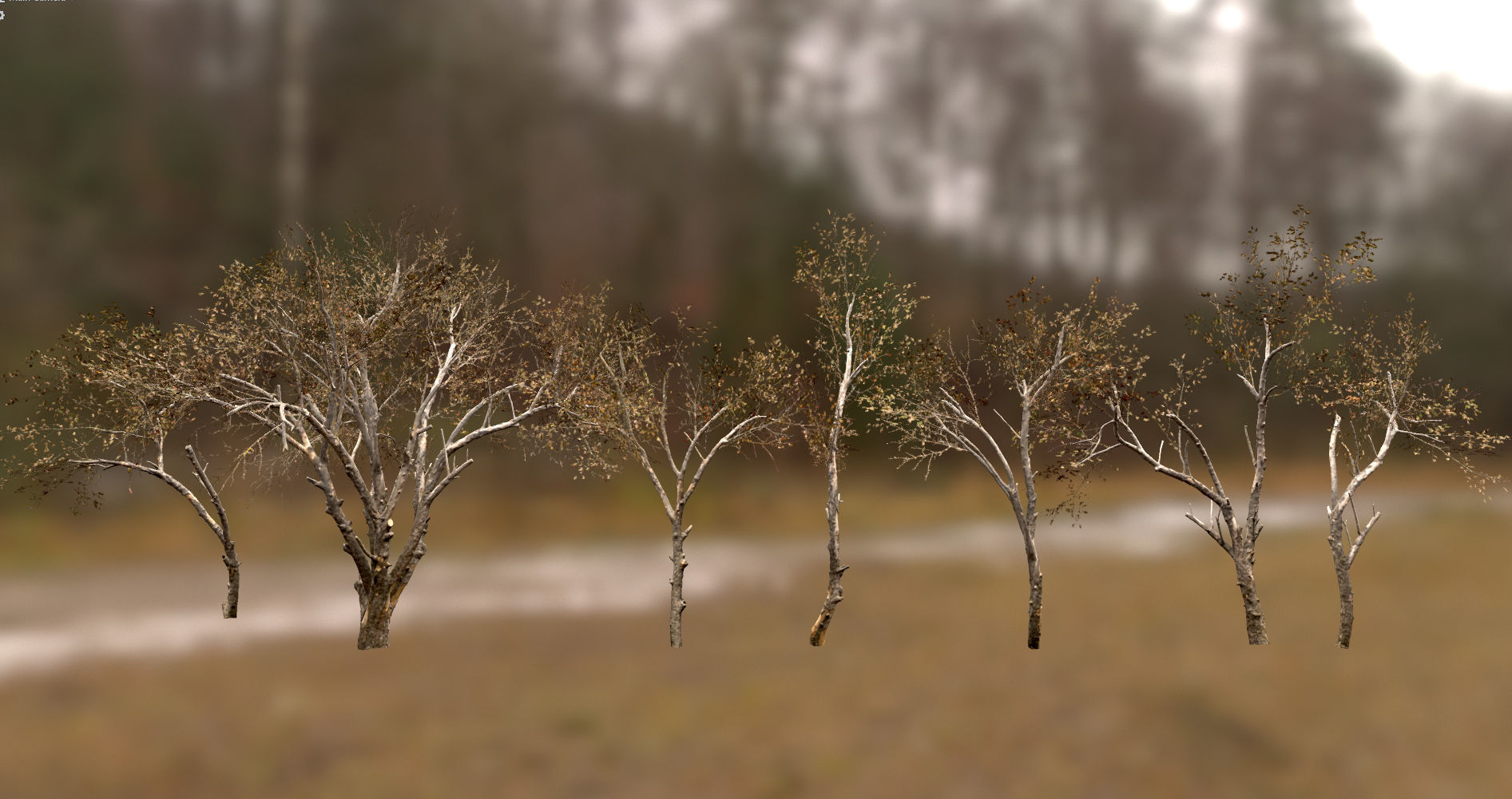 10 Autumn Photo-Scanned Full Size Trees Low-poly 3D model_28