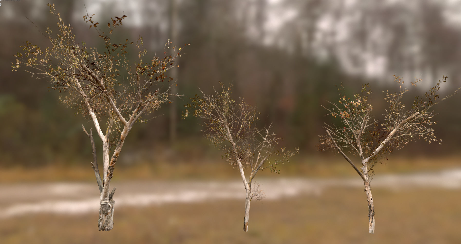 10 Autumn Photo-Scanned Full Size Trees Low-poly 3D model_16