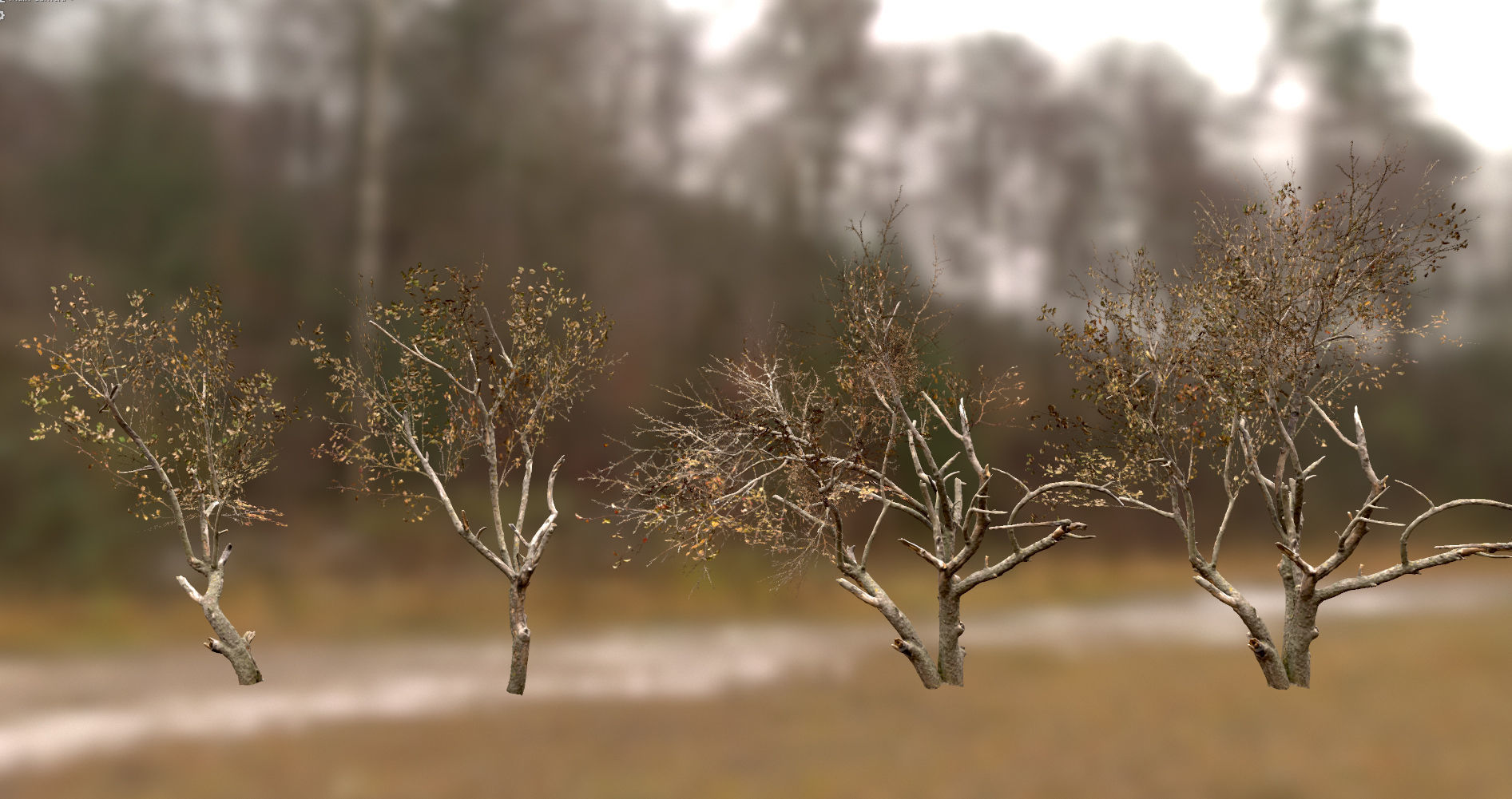 10 Autumn Photo-Scanned Full Size Trees Low-poly 3D model_20