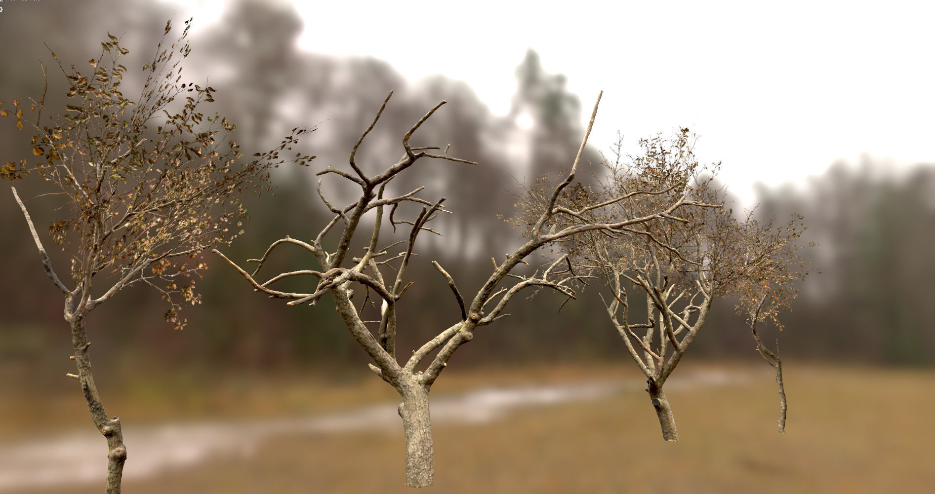 10 Autumn Photo-Scanned Full Size Trees Low-poly 3D model_19