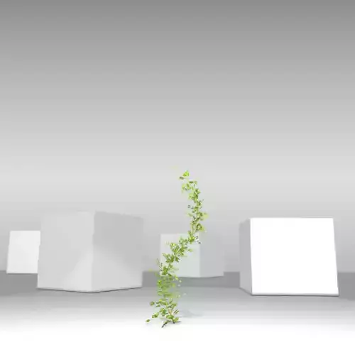 Ivy Vine - Version 7