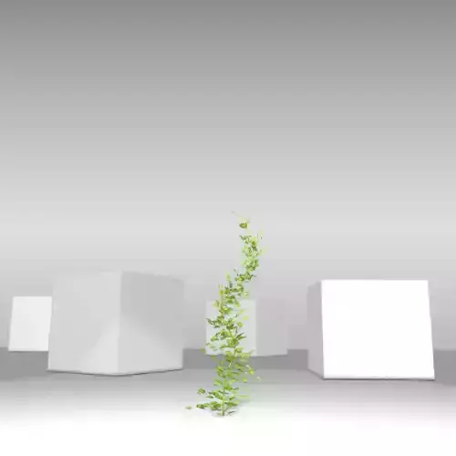 Ivy Vine - Version 8
