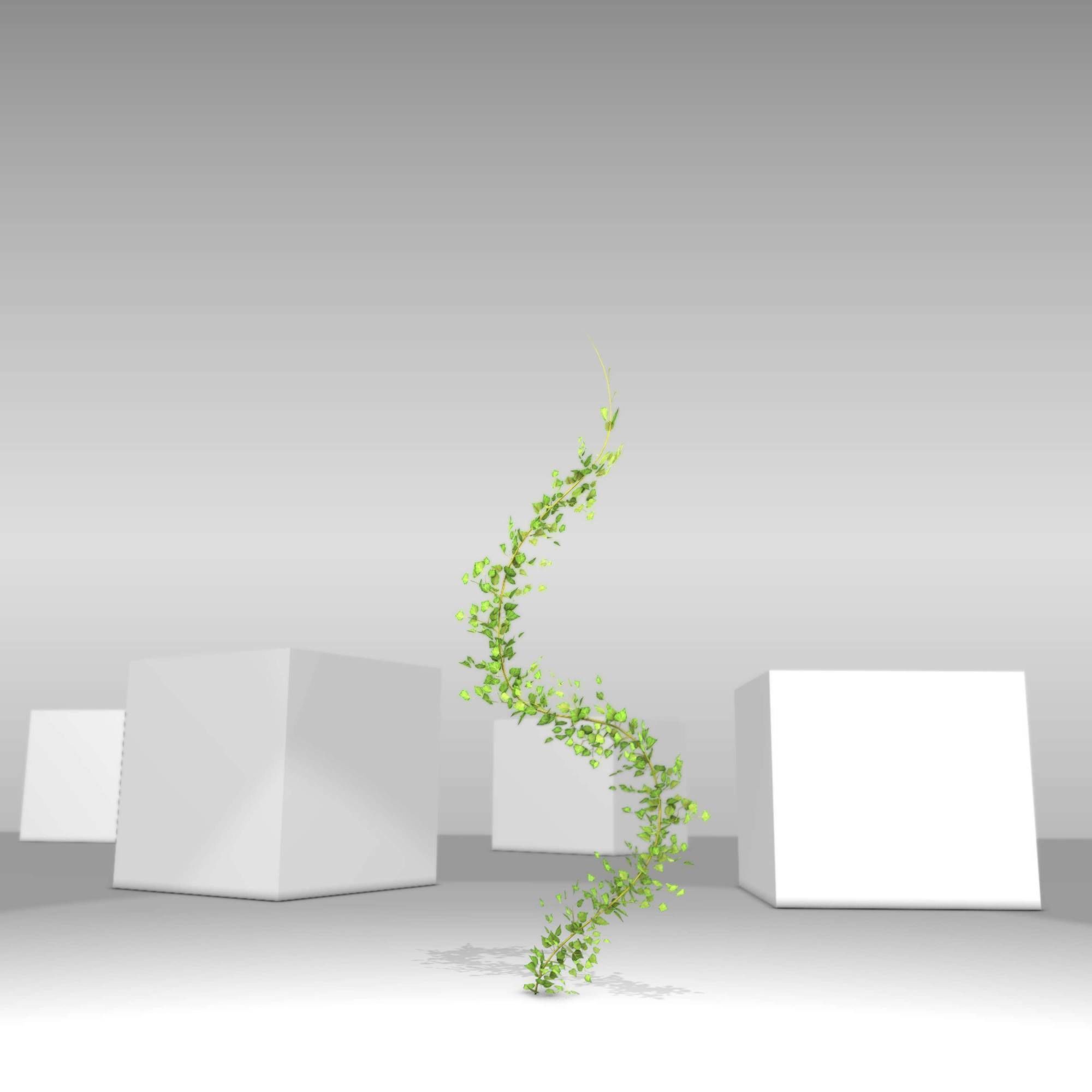 Ivy Vine - Version 9 Low-poly 3D model_27