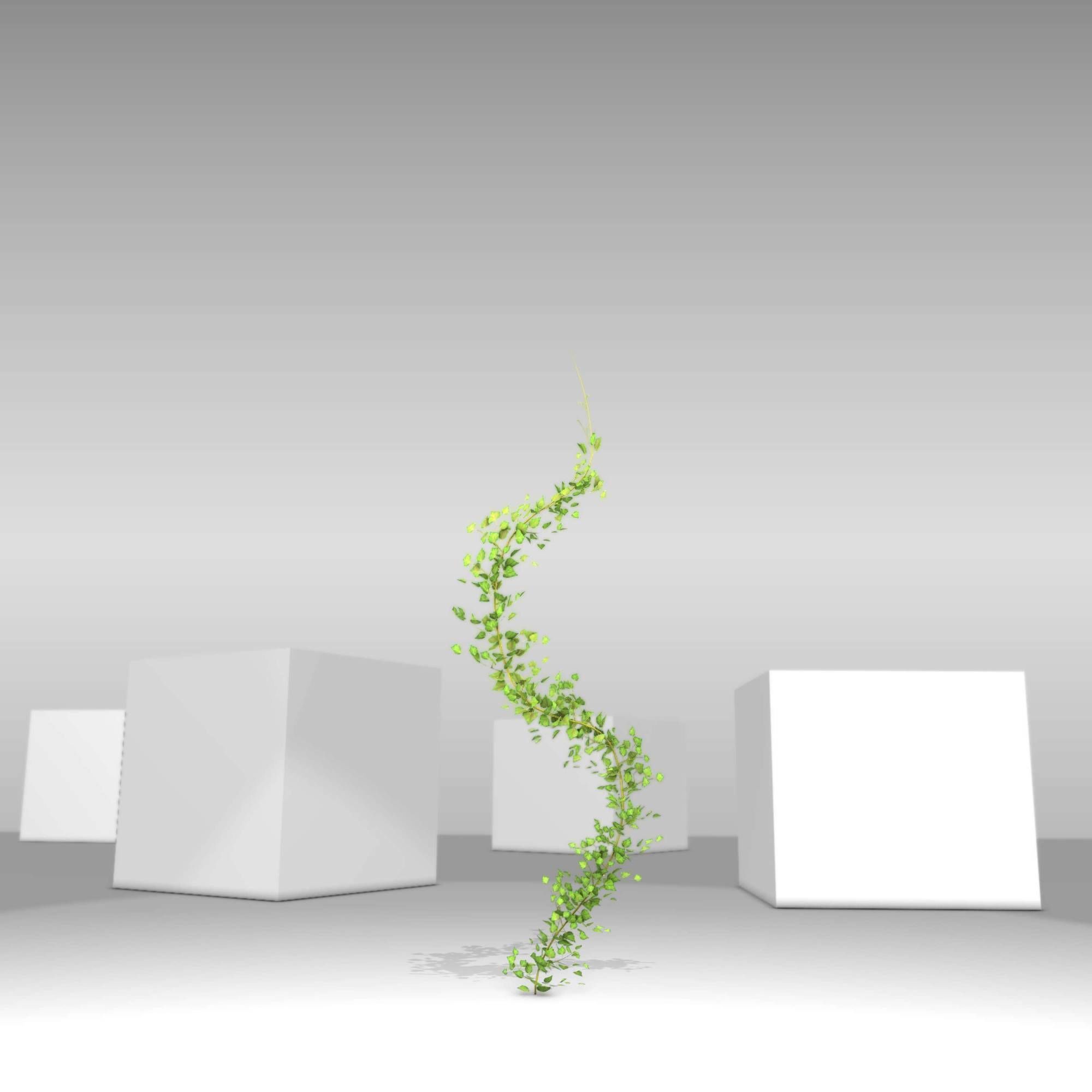 Ivy Vine - Version 9 Low-poly 3D model_4