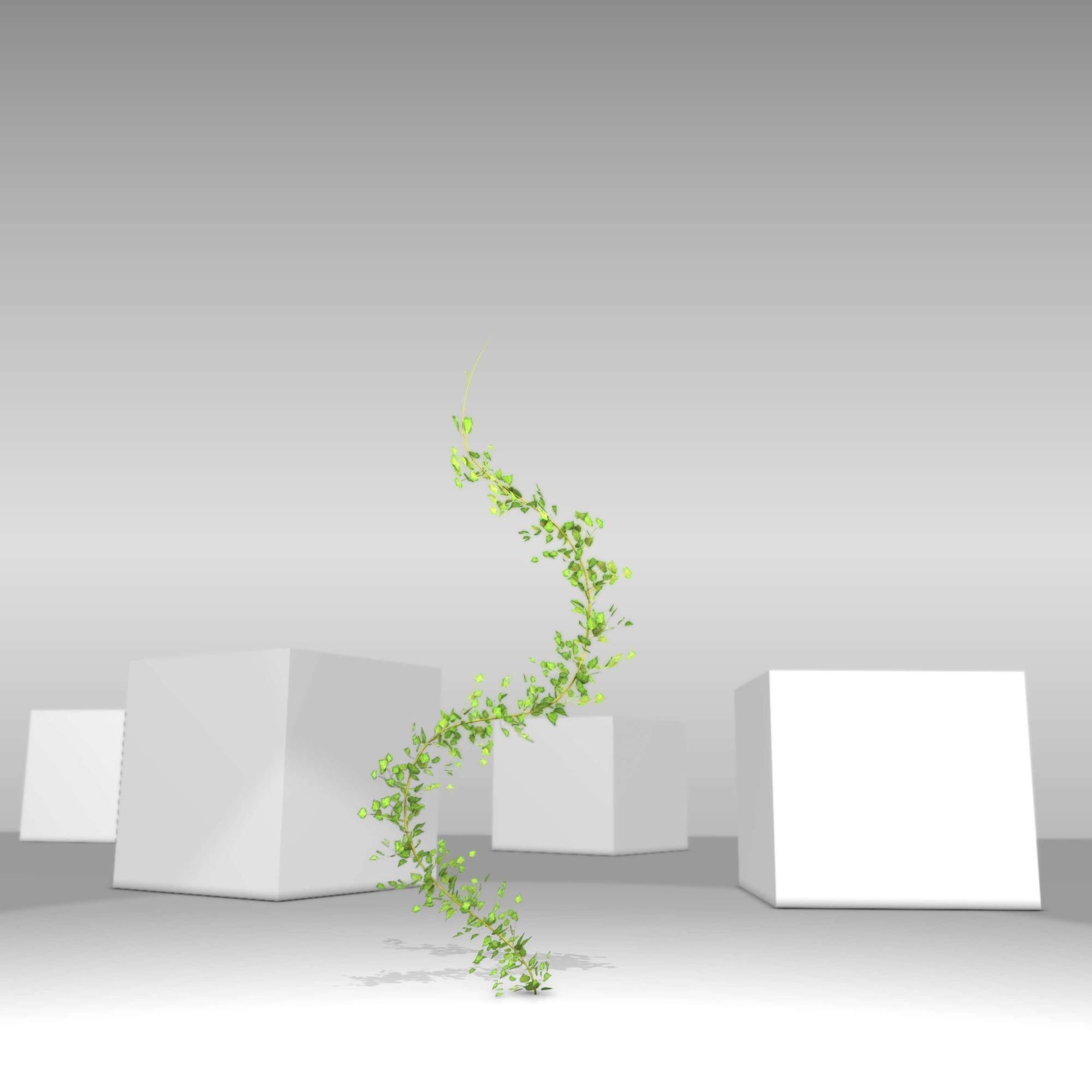 Ivy Vine - Version 9 Low-poly 3D model_16