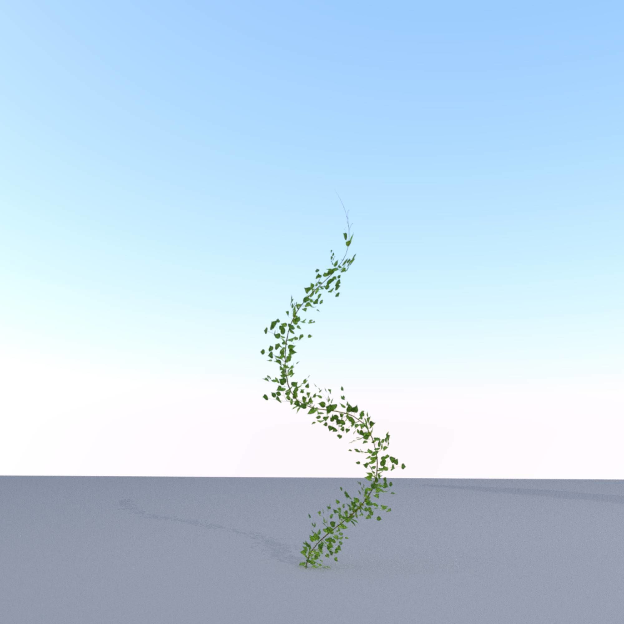 Ivy Vine - Version 9 Low-poly 3D model_26