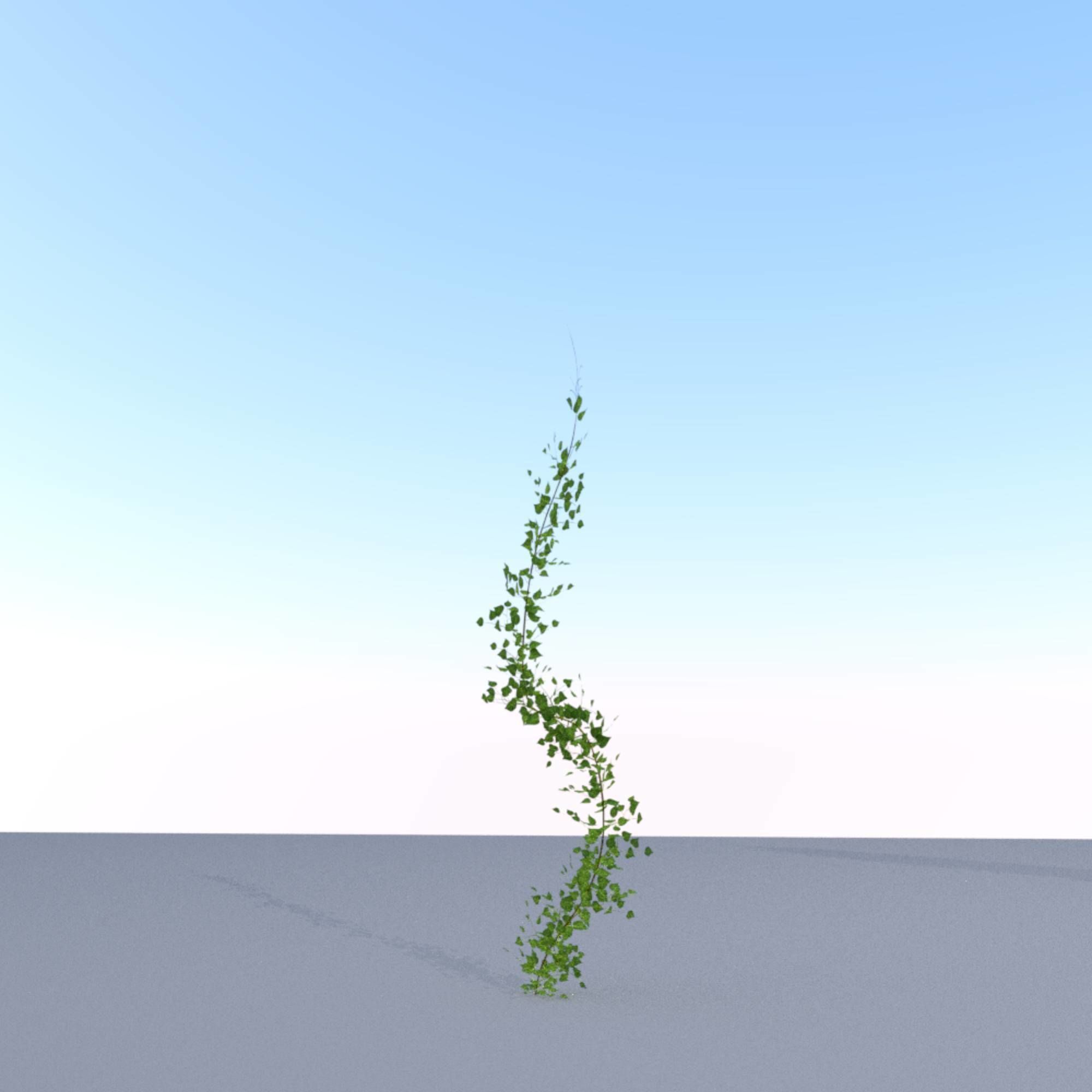 Ivy Vine - Version 9 Low-poly 3D model_25
