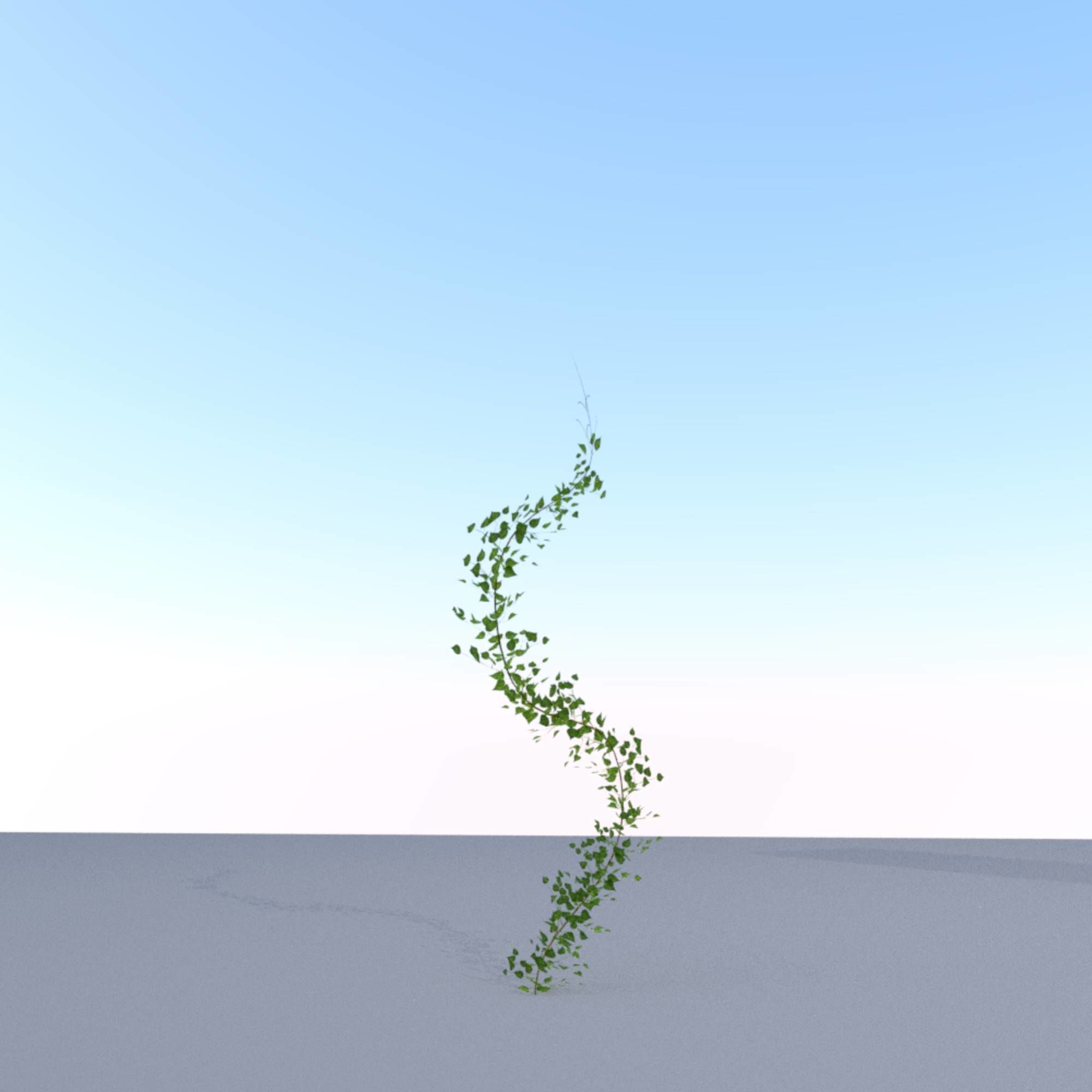 Ivy Vine - Version 9 Low-poly 3D model_5