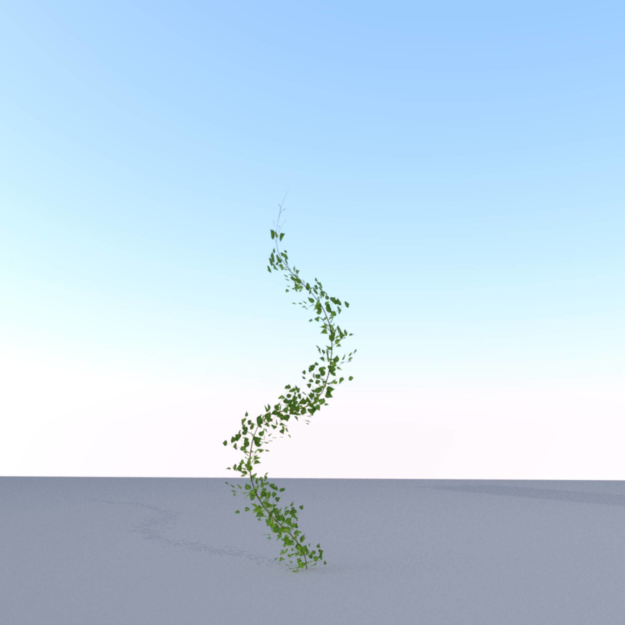 Ivy Vine - Version 9 Low-poly 3D model_17