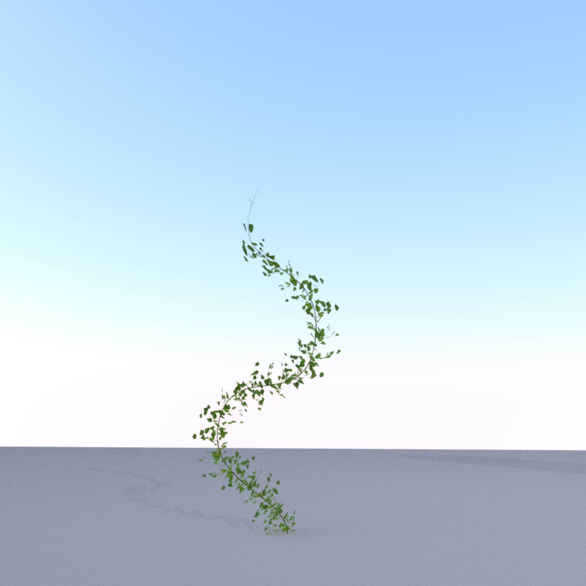 Ivy Vine - Version 9 Low-poly 3D model_20