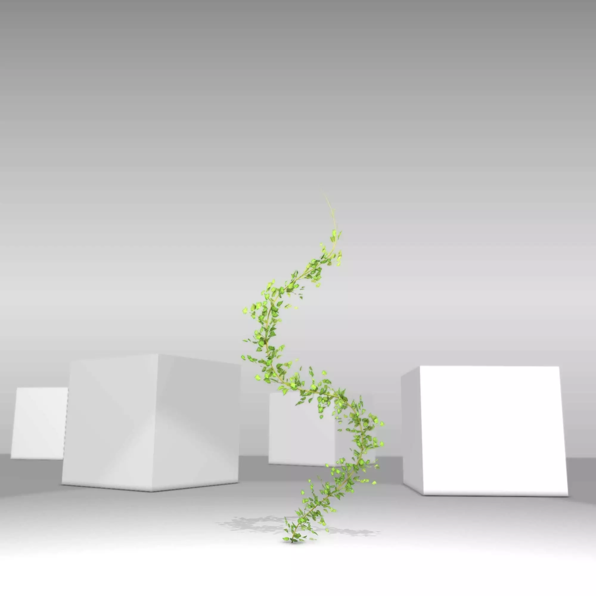 Ivy Vine - Version 9 Low-poly 3D model_0